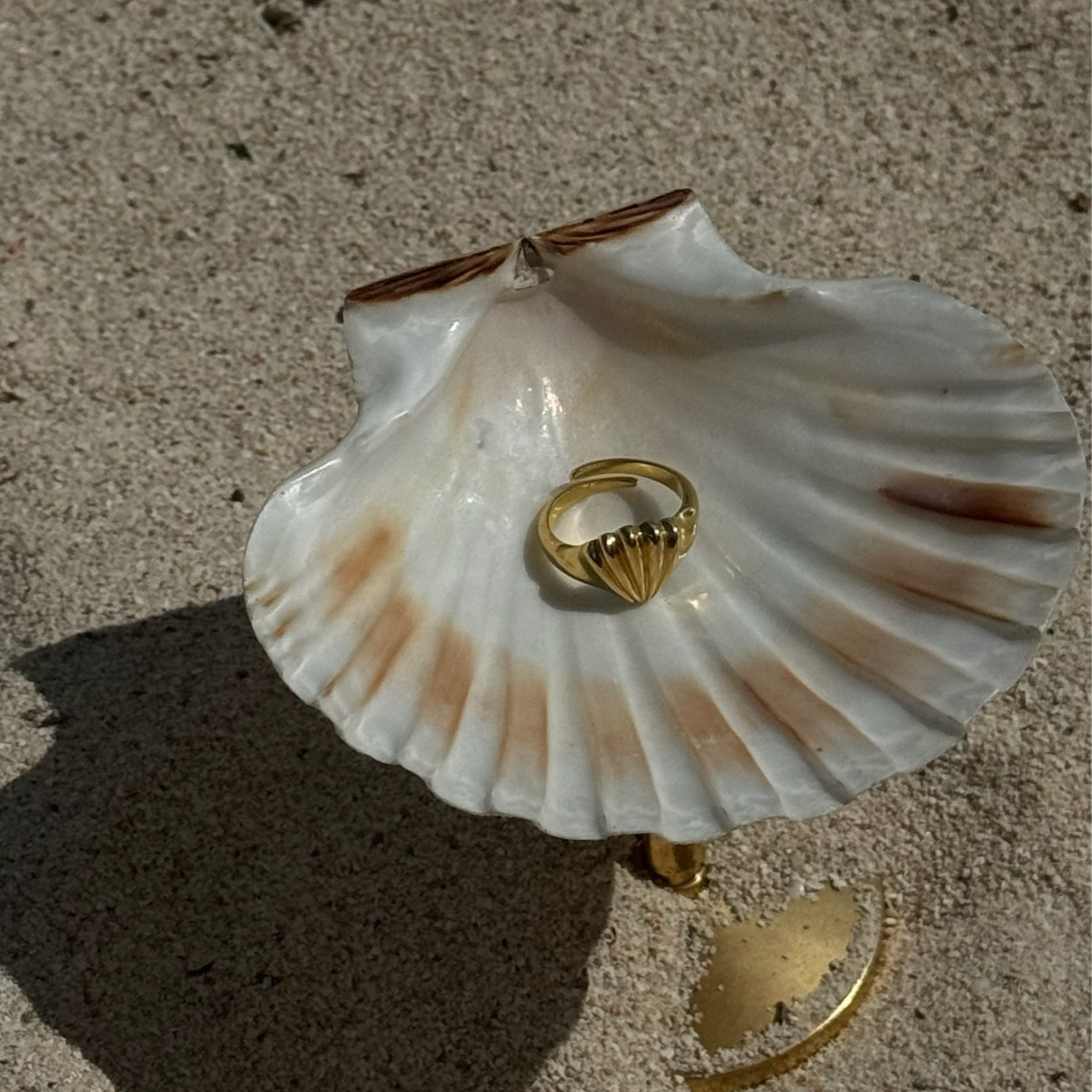 Seashell Ring