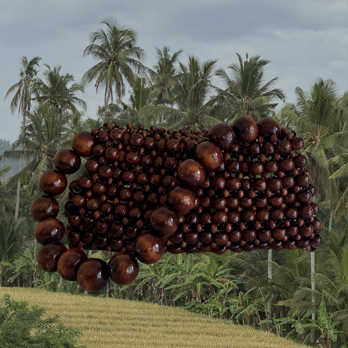 The Kayu | Coming Soon